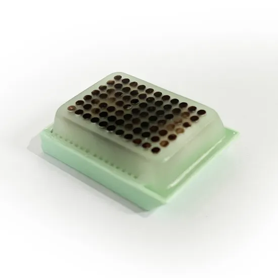 Jednor&aacute;zov&eacute; l&eacute;kařsk&eacute; potřeby tk&aacute;ňov&eacute; mikročipov&eacute; bloky použ&iacute;van&eacute; pro vědeck&eacute; v&yacute;zkumn&eacute; materi&aacute;lov&eacute; vyšetřen&iacute;